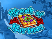 Book of Fortune logo Book of Fortune gra online