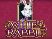 white rabbit white rabbit slot za darmo